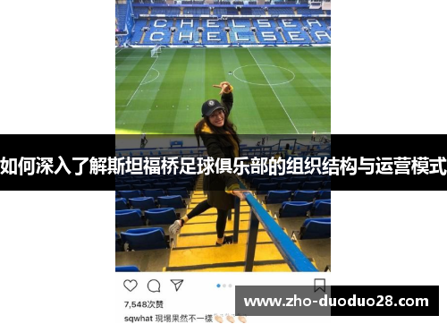 如何深入了解斯坦福桥足球俱乐部的组织结构与运营模式